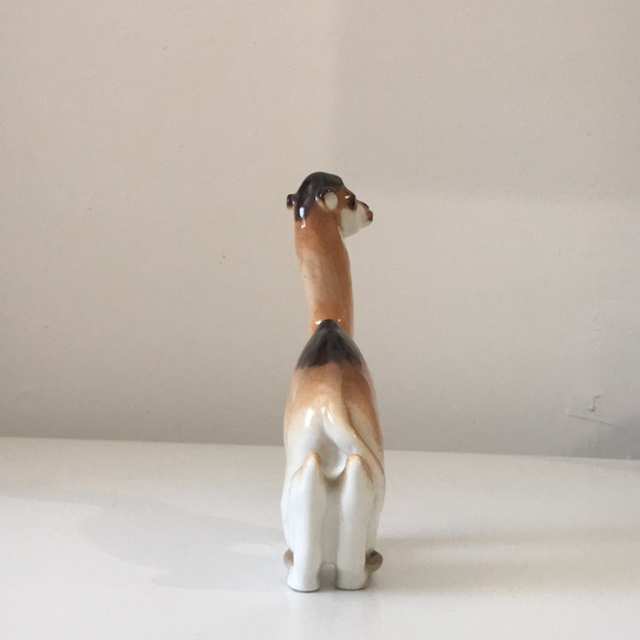 Lomonosov Camel 🐪 - Picture 4 of 6